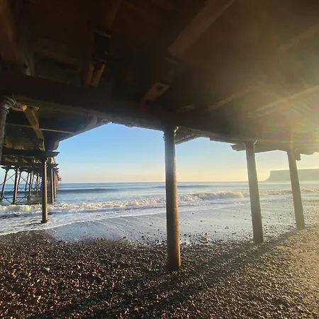Salty Escape