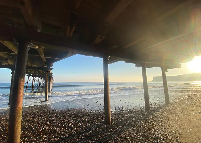 Salty Escape